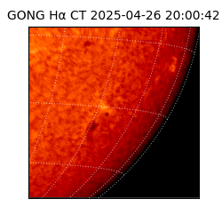 gong - 2025-04-26T20:00:42