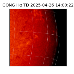 gong - 2025-04-26T14:00:22