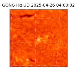 gong - 2025-04-26T04:00:02