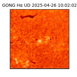 gong - 2025-04-26T10:02:02