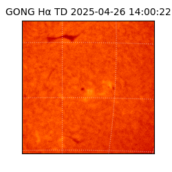 gong - 2025-04-26T14:00:22