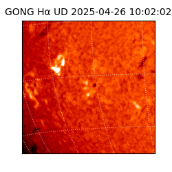 gong - 2025-04-26T10:02:02