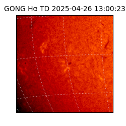 gong - 2025-04-26T13:00:23