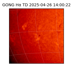 gong - 2025-04-26T14:00:22