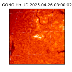 gong - 2025-04-26T03:00:02