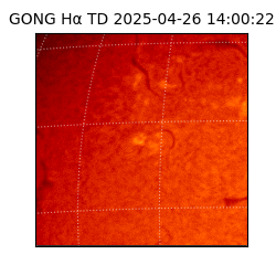 gong - 2025-04-26T14:00:22