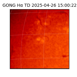 gong - 2025-04-26T15:00:22