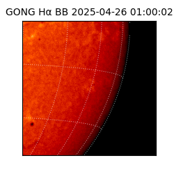 gong - 2025-04-26T01:00:02