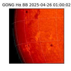 gong - 2025-04-26T01:00:02