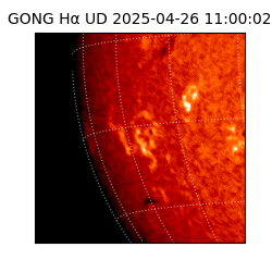 gong - 2025-04-26T11:00:02
