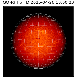 gong - 2025-04-26T13:00:23