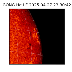 gong - 2025-04-27T23:30:42