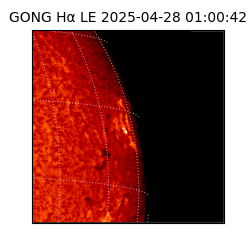 gong - 2025-04-28T01:00:42