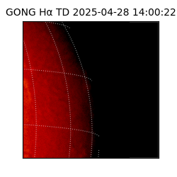 gong - 2025-04-28T14:00:22