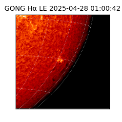 gong - 2025-04-28T01:00:42