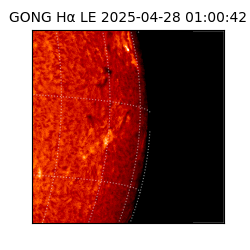 gong - 2025-04-28T01:00:42