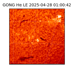 gong - 2025-04-28T01:00:42