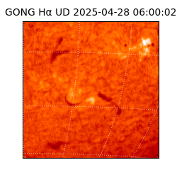 gong - 2025-04-28T06:00:02