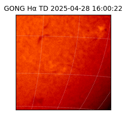 gong - 2025-04-28T16:00:22