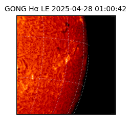 gong - 2025-04-28T01:00:42