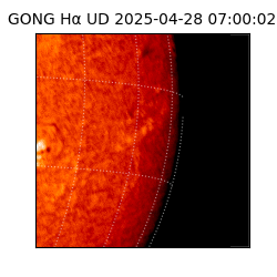 gong - 2025-04-28T07:00:02