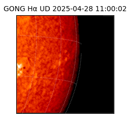 gong - 2025-04-28T11:00:02