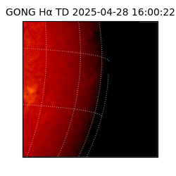 gong - 2025-04-28T16:00:22