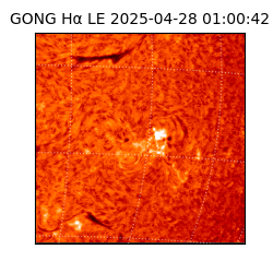 gong - 2025-04-28T01:00:42
