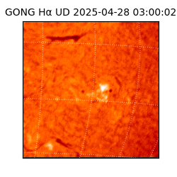 gong - 2025-04-28T03:00:02