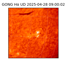 gong - 2025-04-28T09:00:02