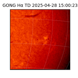 gong - 2025-04-28T15:00:23