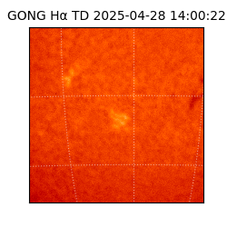 gong - 2025-04-28T14:00:22