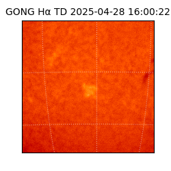 gong - 2025-04-28T16:00:22