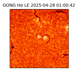 gong - 2025-04-28T01:00:42