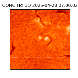 gong - 2025-04-28T07:00:02