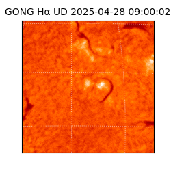 gong - 2025-04-28T09:00:02