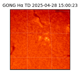 gong - 2025-04-28T15:00:23