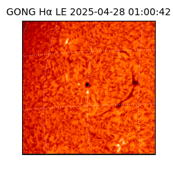gong - 2025-04-28T01:00:42