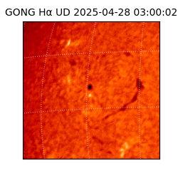 gong - 2025-04-28T03:00:02