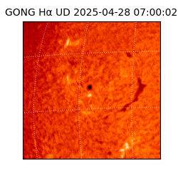 gong - 2025-04-28T07:00:02