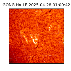 gong - 2025-04-28T01:00:42