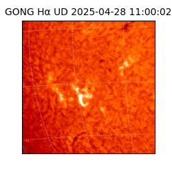 gong - 2025-04-28T11:00:02