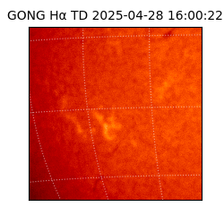 gong - 2025-04-28T16:00:22