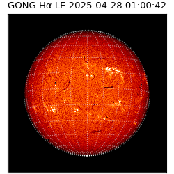 gong - 2025-04-28T01:00:42