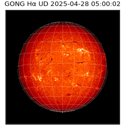 gong - 2025-04-28T05:00:02