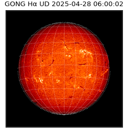 gong - 2025-04-28T06:00:02