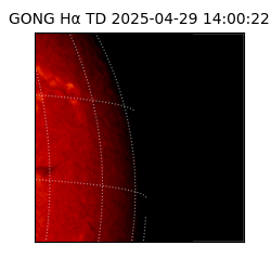 gong - 2025-04-29T14:00:22