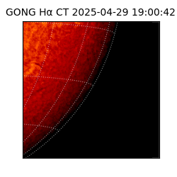 gong - 2025-04-29T19:00:42