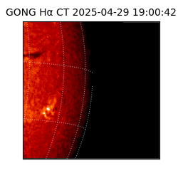 gong - 2025-04-29T19:00:42