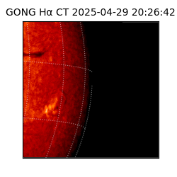 gong - 2025-04-29T20:26:42